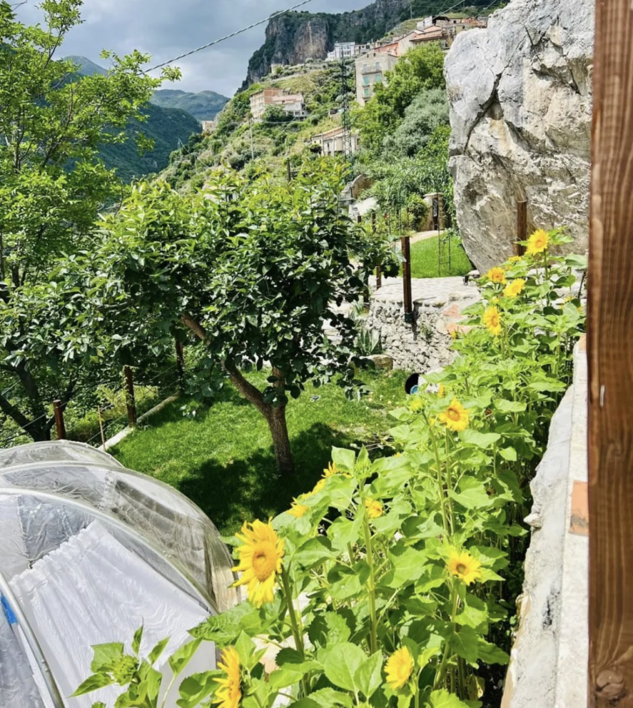 Il meraviglioso giardino della nostra Bubble Room La Maghianisa.